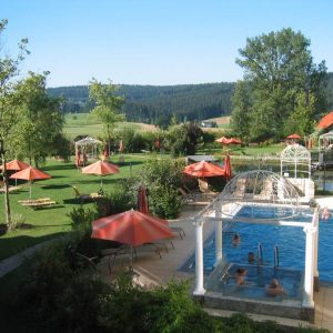 Guglwald_Hotelpool Guglwald_Hotelpool